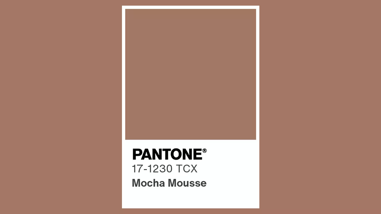 Colore dell’Anno 2025:  PANTONE Mocha Mousse 17_1230 TCX